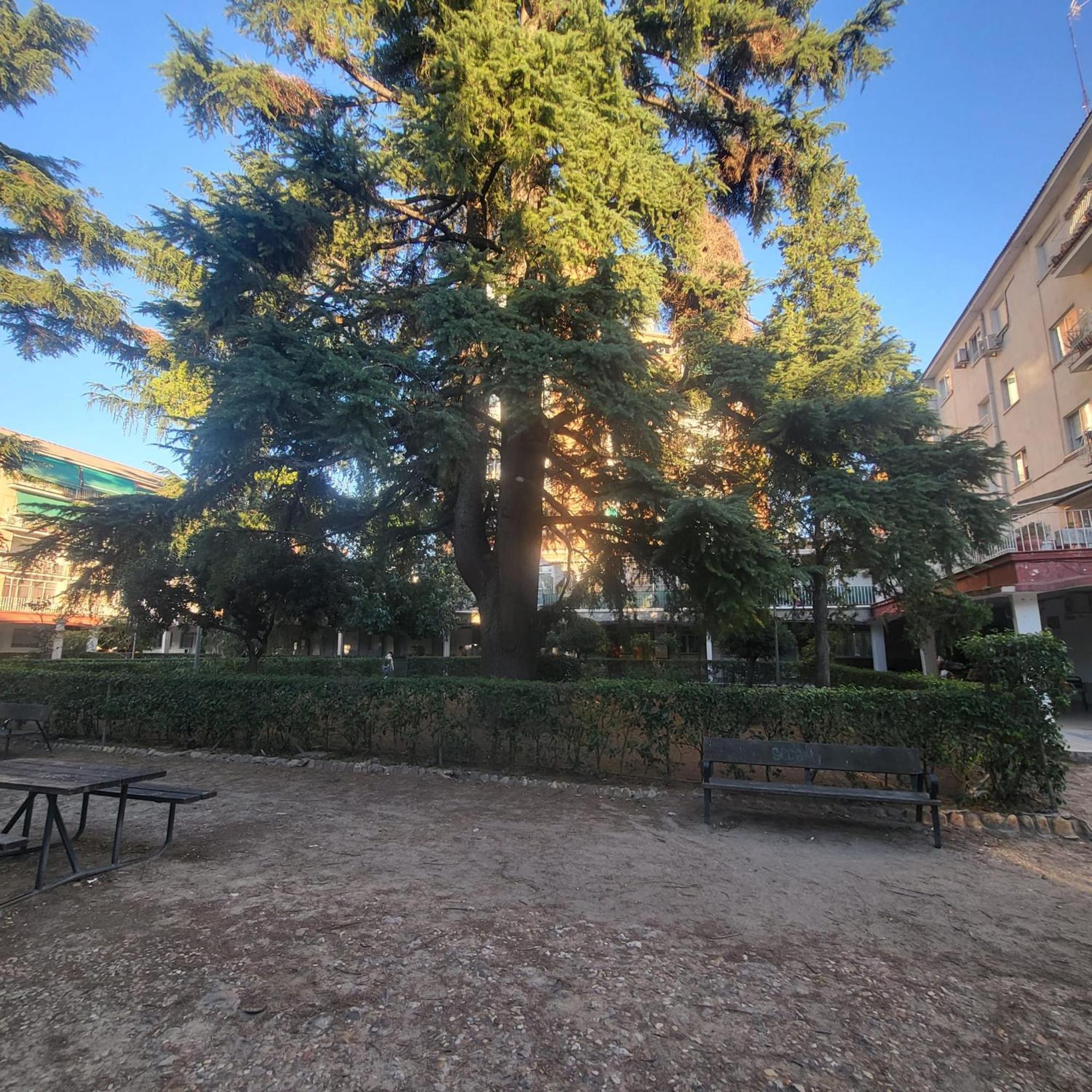 Apartament Volpi Mazzo Madryt Zewnętrze zdjęcie
